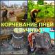 Корчевание пней в Воронеже, выкорчевать пень.